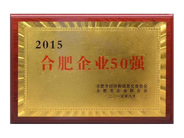 合肥企業50強