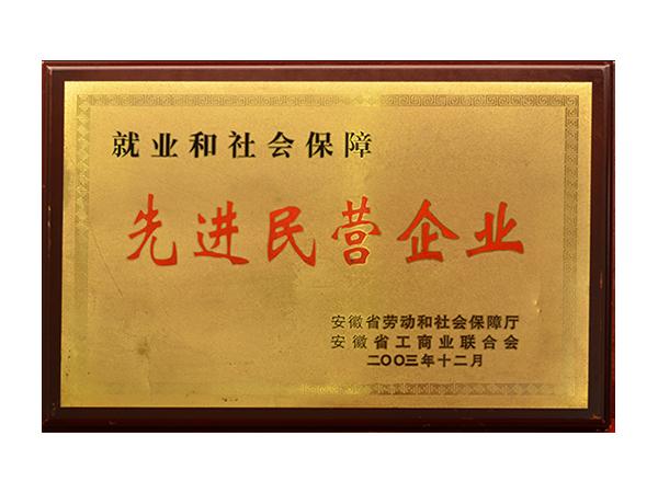 先進民營企業