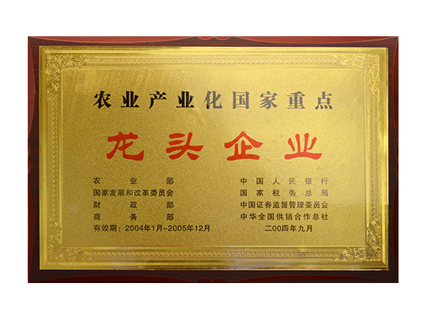 龍頭企業