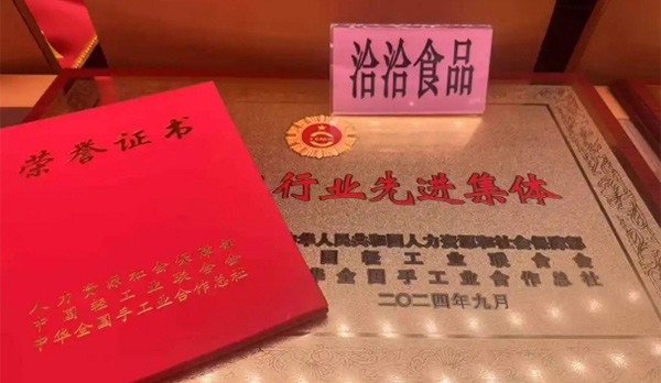 BBIN宝盈食品荣膺“全国轻工行业先进集体”称号
