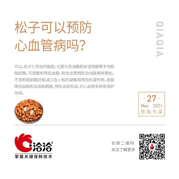 堅果功效小科普 | 鬆子可以預防心血管病嗎？