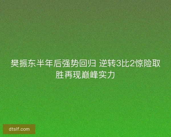 樊振东半年后强势回归 逆转3比2惊险取胜再现巅峰实力