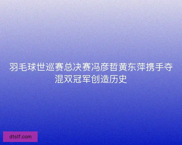 羽毛球世巡赛总决赛冯彦哲黄东萍携手夺混双冠军创造历史
