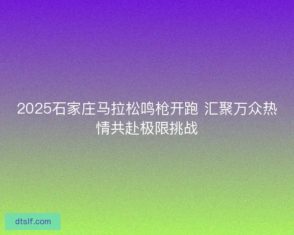 2025石家庄马拉松鸣枪开跑 汇聚万众热情共赴极限挑战
