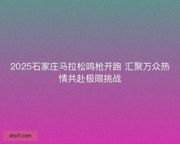 2025石家庄马拉松鸣枪开跑 汇聚万众热情共赴极限挑战