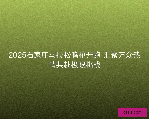 2025石家庄马拉松鸣枪开跑 汇聚万众热情共赴极限挑战